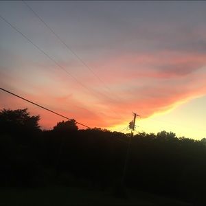 Meet your Posher, Macey